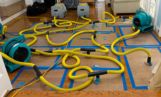 Professional Burst Pipe Water Damage technician working in Woodland Park, NE